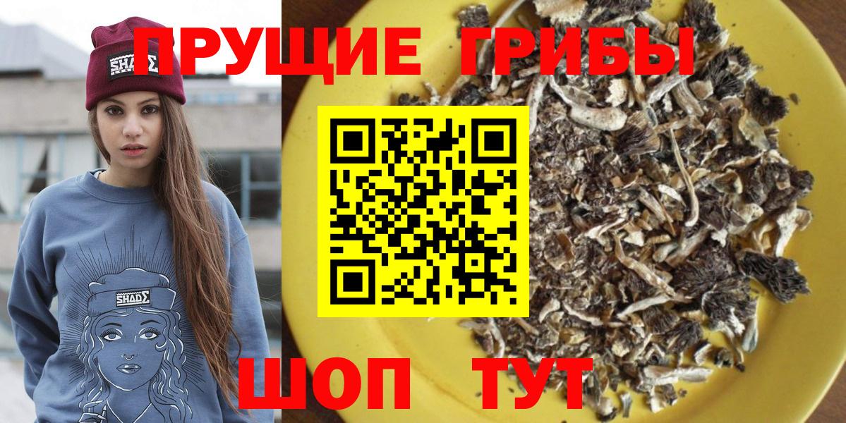 Галлюциногенные грибы MAGIC MUSHROOMS  Вход с VPN  Галлюциногенные грибы Cubensis  как найти   Тобольск 